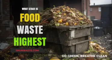 Uncovering the Critical Stage Where Food Waste Peaks
