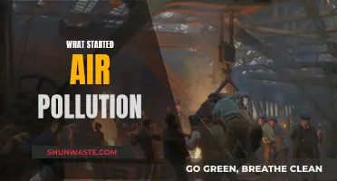 The Industrial Revolution: Air Pollution's Dark Origin