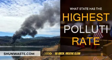 Pollution's Worst Offenders: State's Toxic Air Crisis