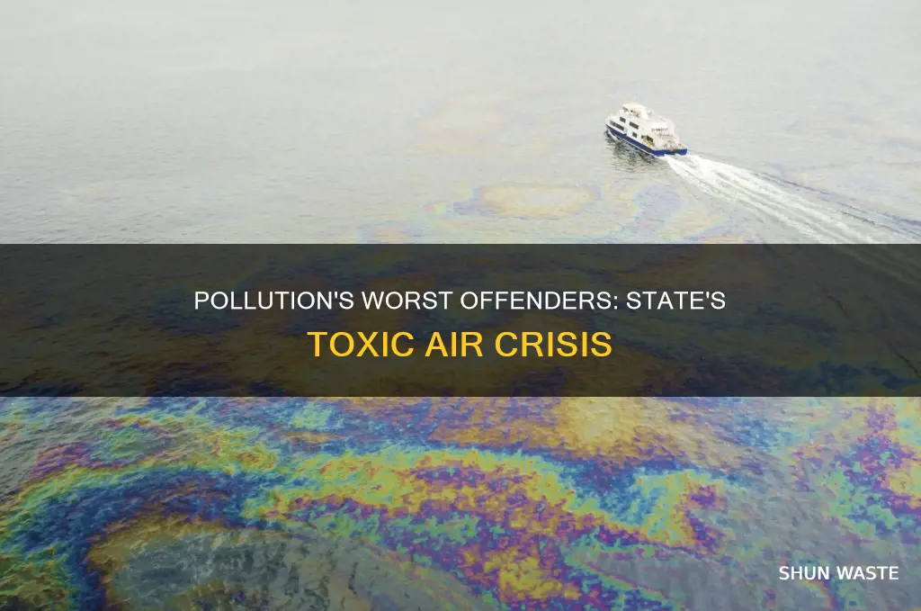 what state has the highest pollution rate