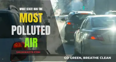 Air Pollution: Which State Suffers the Most?