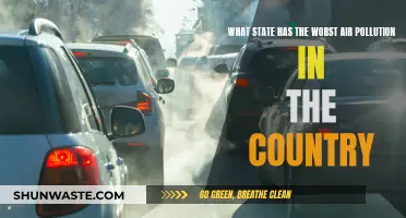 Air Pollution: Which State Suffers the Most?