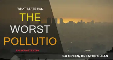 Pollution's Worst Offenders: Which State Pollutes the Most?