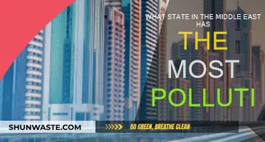 Middle East Pollution: Which State Suffers the Most?
