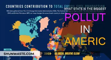 Which State is America's Top Polluter?