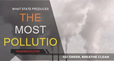 Which State is the Worst Polluter?