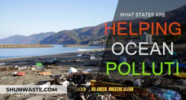 US States Leading the Fight Against Ocean Pollution