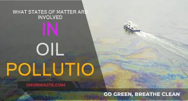 Understanding Oil Pollution: States of Matter