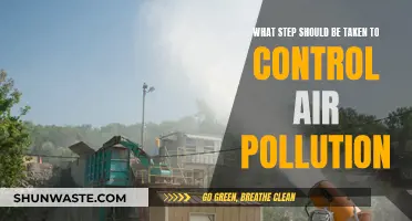 Steps to Curb Air Pollution