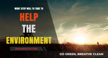 Sustainable Steps: Simple Actions to Protect and Preserve Our Planet