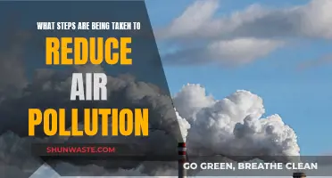 Steps Taken Globally to Reduce Air Pollution