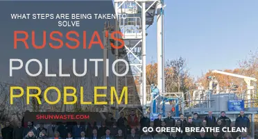 Russia's Pollution: Strategies for a Sustainable Future
