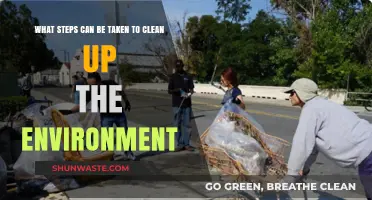 Sustainable Solutions: Practical Steps to Clean Up Our Environment