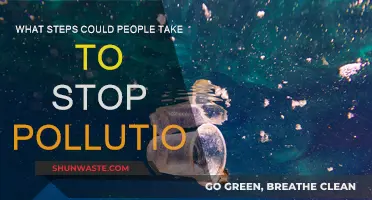 Steps to Stop Pollution: Individual Actions, Powerful Impact