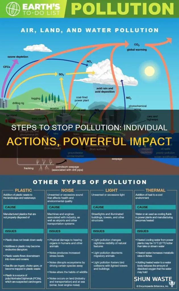 what steps could people take to stop pollution