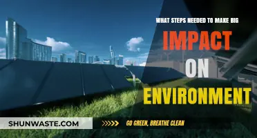 Sustainable Steps: How to Make a Big Impact on the Environment