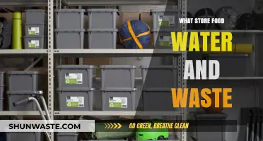 Sustainable Living: How to Store Food, Water, and Waste Efficiently