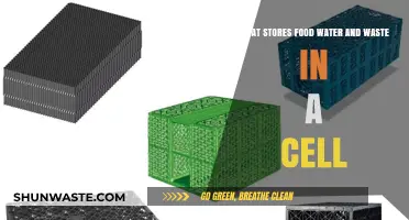 The Cellular Storage System: Food, Water, and Waste Management