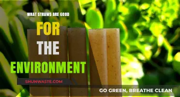 Eco-Friendly Straws: Sustainable Alternatives for a Greener Planet