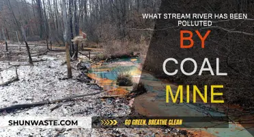 Coal Mine Pollution: Streams and Rivers at Risk