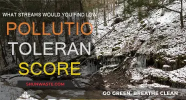 Finding Pristine Streams: Low Pollution Tolerance Scores