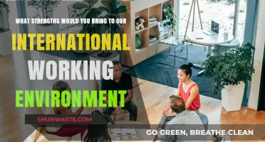 Cultural Adaptability, Communication Skills, and Global Mindset: My Strengths for International Teams