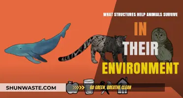 Adaptations Unveiled: Structures That Ensure Animal Survival in Nature