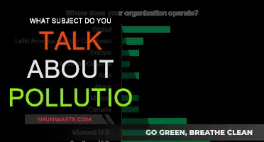 The Air We Breathe: Pollution's Impact