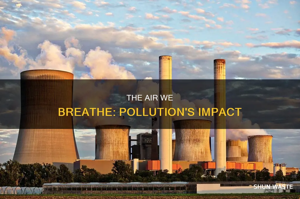 what subject do you talk about pollution