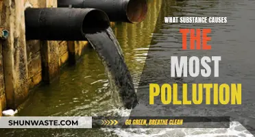 The Hidden Culprit: Unveiling the Most Polluting Substance