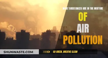Air Pollution: What's in the Toxic Mix?