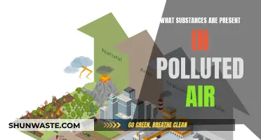 Air Pollutants: What's in the Air We Breathe?