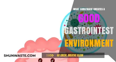 Nurturing Gut Health: Key Substances for Optimal Gastrointestinal Environment