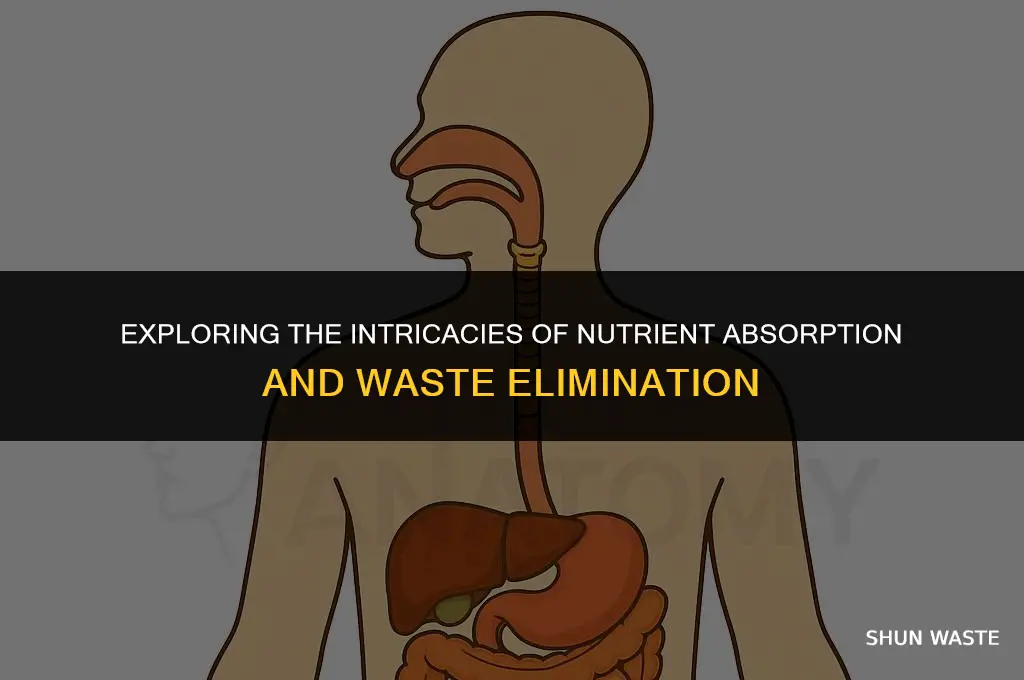 what system absorbs nutrients from food and removes waste