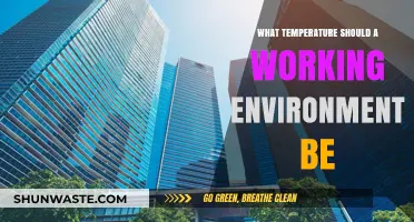 Optimal Office Temperature: Balancing Comfort and Productivity in Workspaces