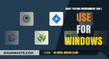Best Testing Environments for Windows: Tools and Setup Guide