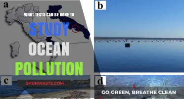 Ocean Pollution: Unveiling the Secrets with Innovative Testing Methods