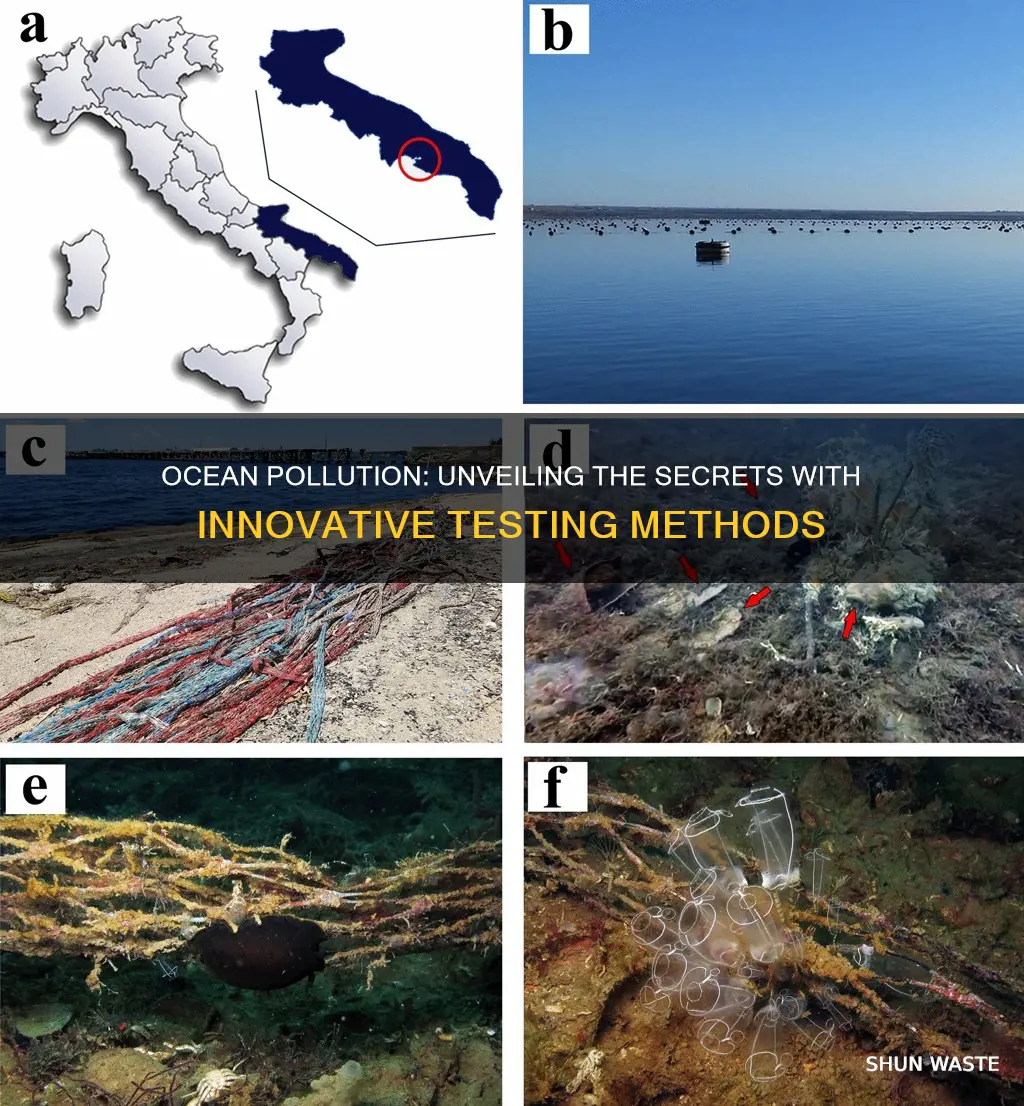 what tests can be done to study ocean pollution