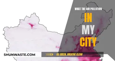 Air Quality Alert: My City's Pollution Crisis
