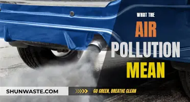 Air Pollution: What It Means for Our Planet