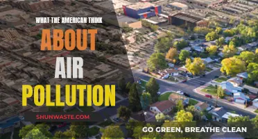 Air Pollution: Americans' Perspective on the Crisis