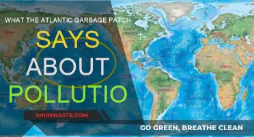The Atlantic Garbage Patch: A Pollution Wake-Up Call