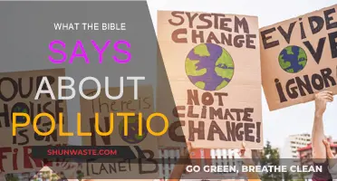 God's Word on Pollution: Biblical Insights