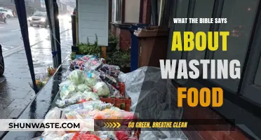 Scriptural Insights: The Bible's Teachings on Food Waste