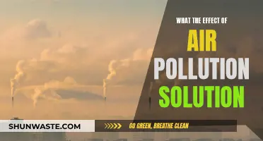 Air Pollution Solutions: Impacting Our World