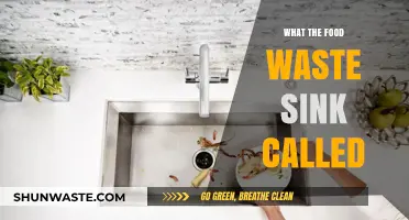 Unveiling the Hidden Culprit: What's Lurking in Your Food Waste Sink?