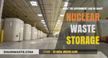 Addressing Nuclear Waste Storage: Government Strategies for a Sustainable Future