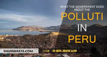 Peru's Pollution: Government Action Plan