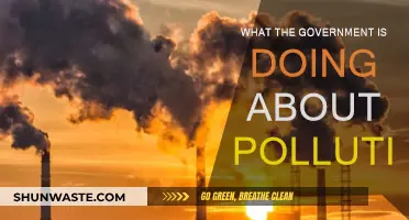 Government Initiatives to Combat Pollution
