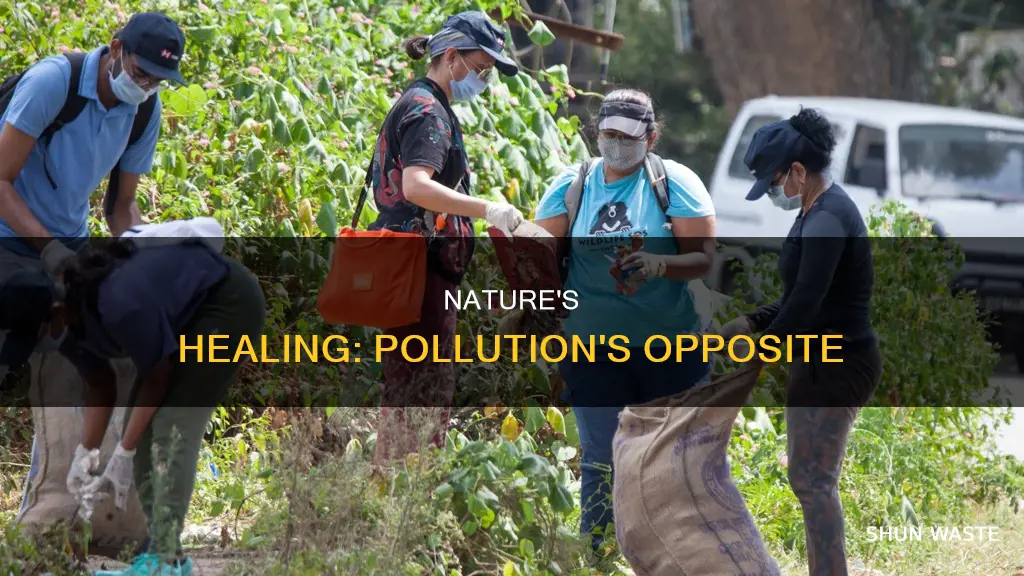 what the opposite of pollution